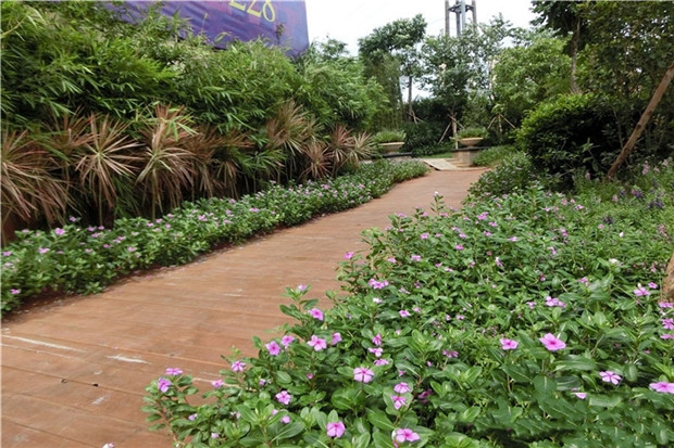 紫竹园园林实景图 